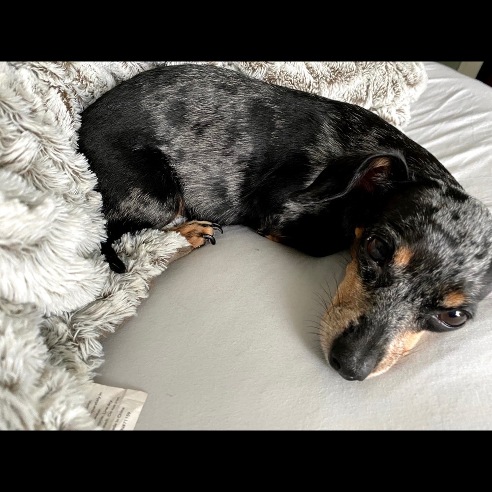 Meet your Posher, Tamia